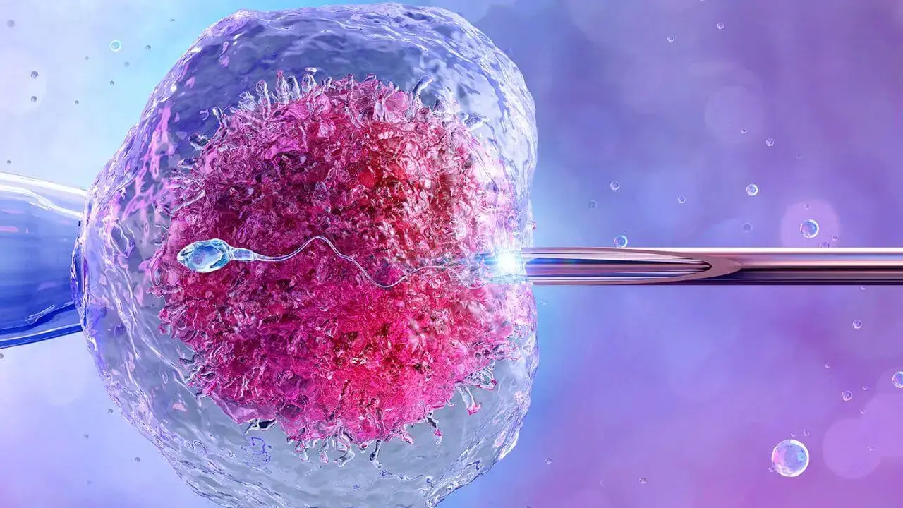 Dr. Niket Patel on IVF Success and Real Results